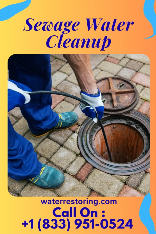 Sewage Water Cleanup in Matteson, IL
